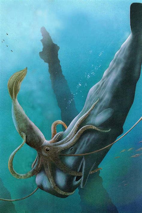 Giant Squid And Sperm Whale