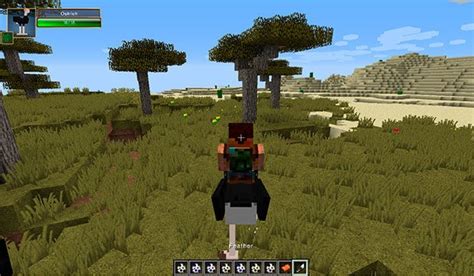 Image result for Minecraft Bird Mod
