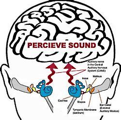 Image result for Stimulus Control Transfer ABA Example