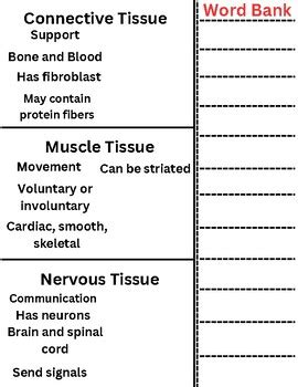 Image result for Deep Tissue Word