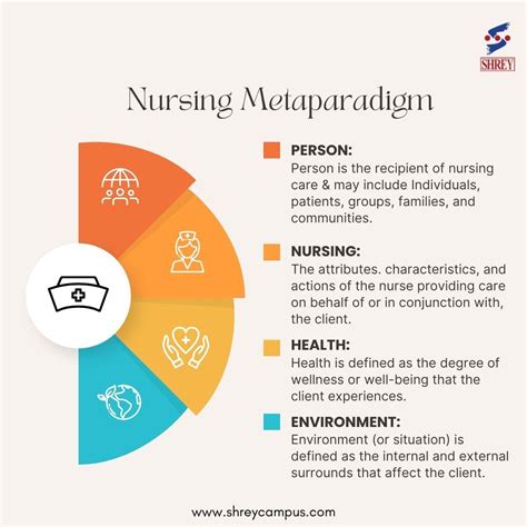 Nursing Concept Person Enviornment The... American Occupational