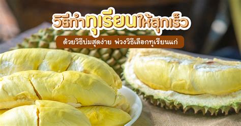 Image result for Java Rice Tray