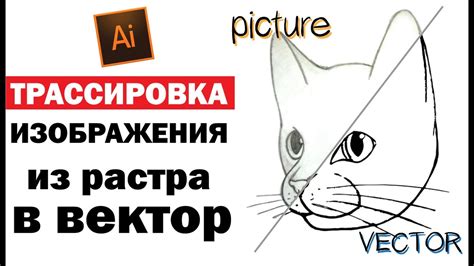 Трассировка изображения | Как перевести растр в вектор в Adobe ...