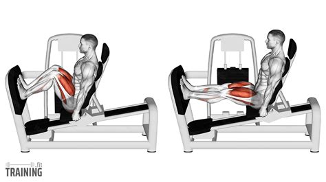 Leg Press Machine Exercise 的图像结果