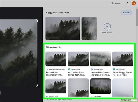 Image result for Image Search Using
