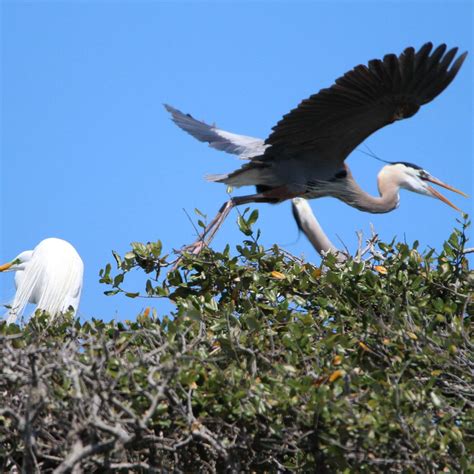BENT OAKS ROOKERY PARK (2025) All You Need to Know BEFORE You Go (with ...