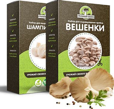 Набор для выращивания грибов в домашних условиях: отзывы людей