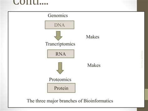 Image result for Bioinformatics RoadMap