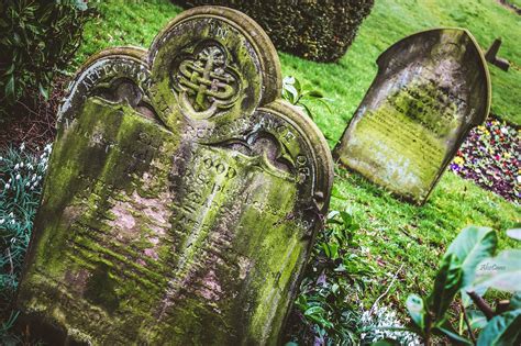 tomb 的图像结果