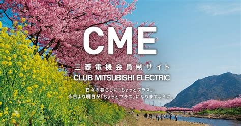 Image result for Light Sensor Module Mobile