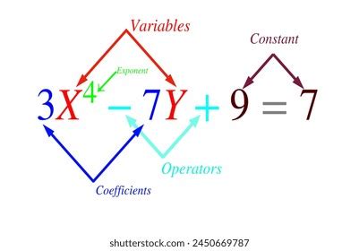 Image result for Exponential Equation Components