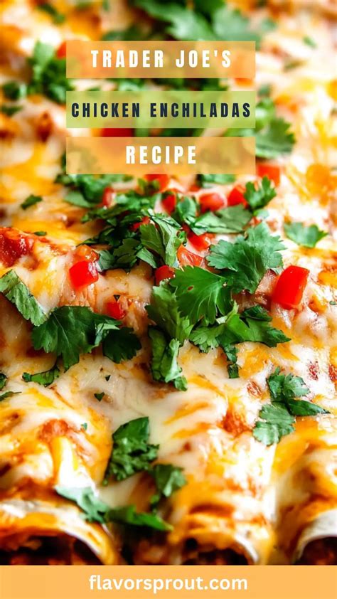 Trader Joe's Chicken Enchiladas Recipe – Flavor Sprout