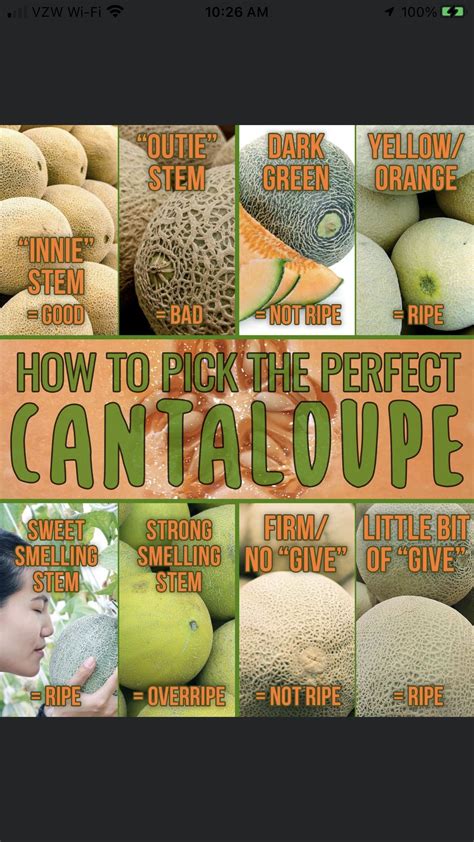 How to pick the perfect cantaloupe 6 key tips from an experienced ...