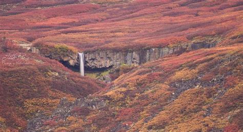 Autumnal Waterfall Tutorial 的图像结果