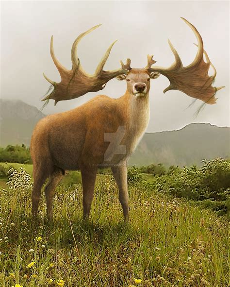 Megaloceros giganteus (mamífero cérvido del Pleistoceno de Asia central y Europa, 0.5Ma) | Irish ...