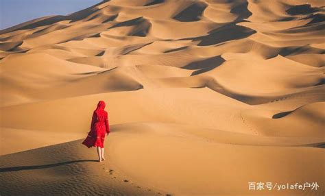 30年治沙成为全球荒漠化防治样本，库布齐沙漠仍有困惑与难题|新秀丽_新浪财经_新浪网