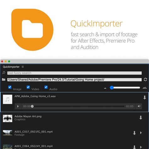 Loading Importer Quicktime.prm 的图像结果