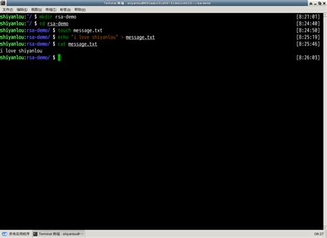 How to Pull RSA Token From EXEFile 的图像结果