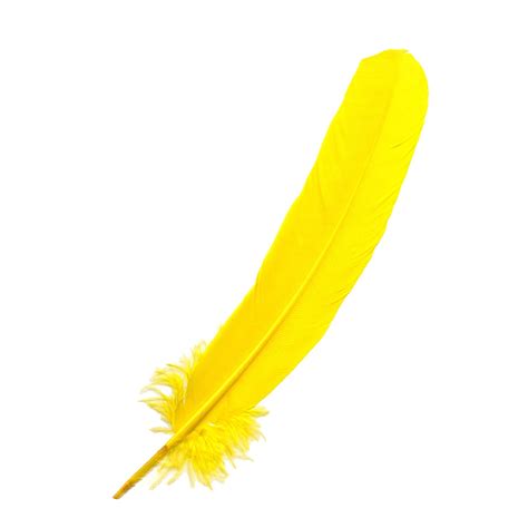 Parried Turkey Quills Selected - Yellow | Dyed Turkey Feather – featherplace.com by Zucker ...