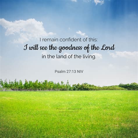 Psalm 27:13 ~ Daily Devotion February 1 2023 - Daily Devotional