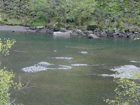 Little White Salmon River | FWS.gov