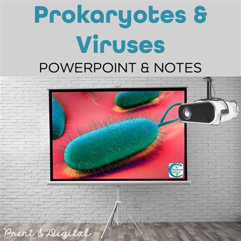 Prokaryotes and Viruses PowerPoint, Notes, and Videos - Science Island