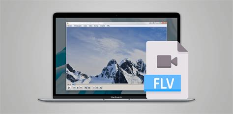 Image result for FLV File Player