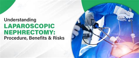 Image result for Open Nephrectomy Procedure