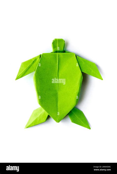 Image result for Paper Turtle Origami