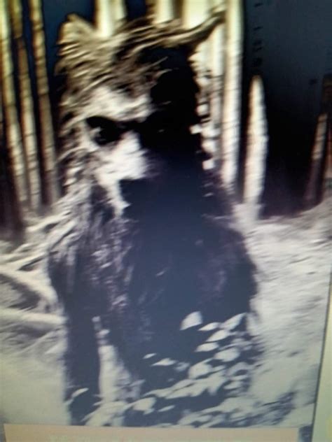 Dogman Encounters Dark Waters 的图像结果