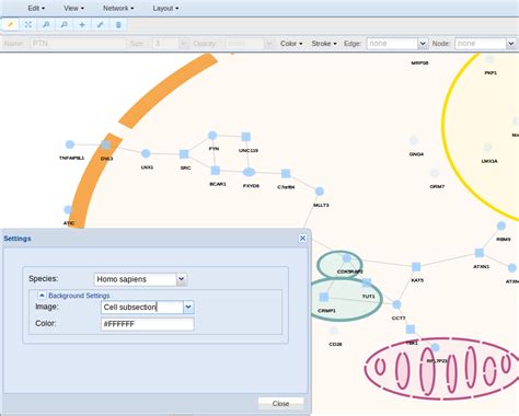 Image result for Network Viewer