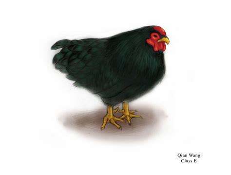 🔥 [50+] SparkNotes The Yellow Wallpapers | WallpaperSafari