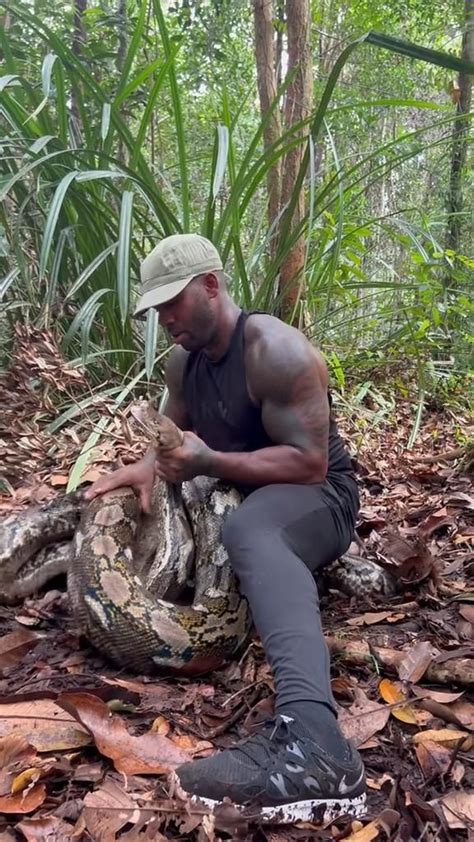 Cool Python Catching 的图像结果