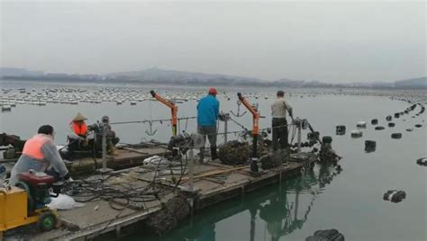 以渔业工程及装备成果推广为抓手助推乡村振兴-中国水产科学研究院