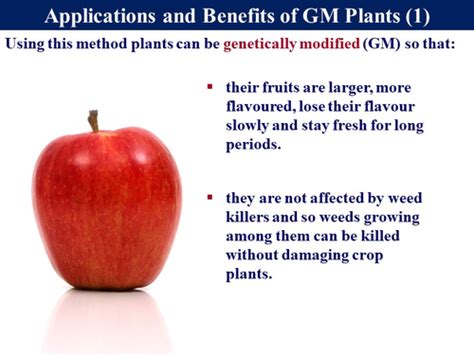 Genetic Modification 的图像结果