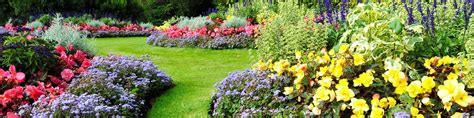 Image result for Horticulture Tips