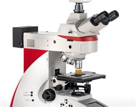 Compound Microscope Set 的图像结果