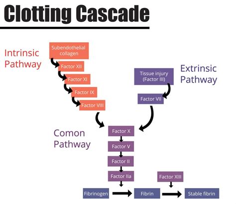 Image result for Descriptive Case Study Examples