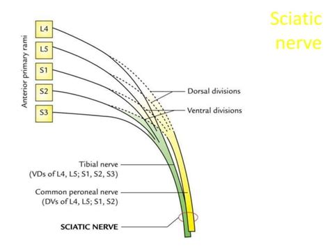 Image result for P-Block Notes Class 12