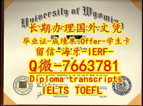 国外学位证丢失可以补办UoM文凭证书吗？ | PDF