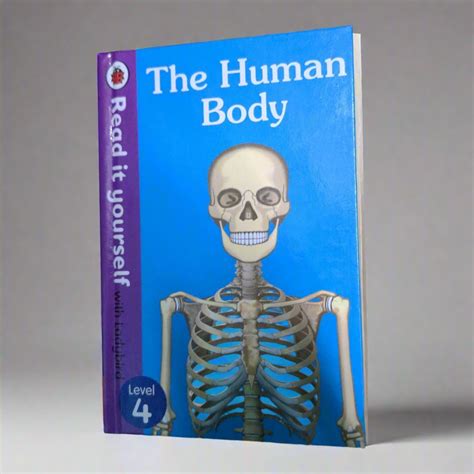 The Human Body - Read It Yourself with Ladybird Level 4 – We Are Turners