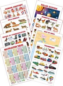 Spectrum Kid's 1st Learning Charts [S] : Set 29 (Human Anatomy, Solar ...