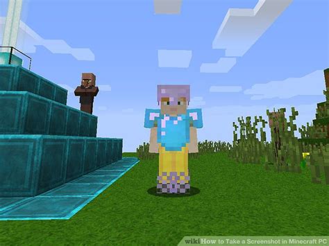 Image result for Minecraft PC Screen Shot