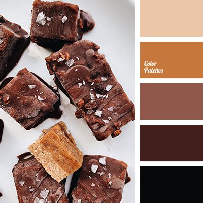 Chocolate Color 的图像结果