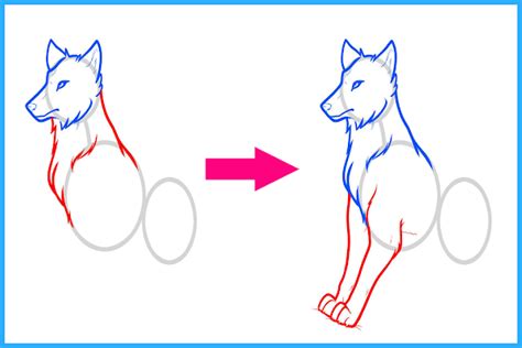 How To Draw Wolves Step by Step | Drawing Course for Beginners
