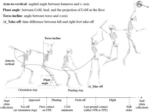 Movement characteristics of volleyball spike jump performance in females - Journal of Science ...