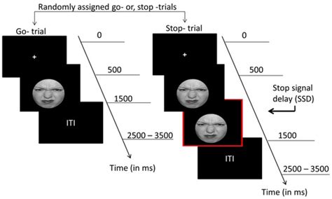 Mid-Frontal Theta Modulates Response Inhibition and Decision Making ...