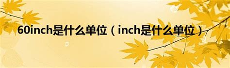 inch是什么单位,incn是什么计量单位-百答号