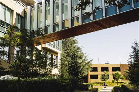 Netflix Movie Recommendation Algorithm 的图像结果