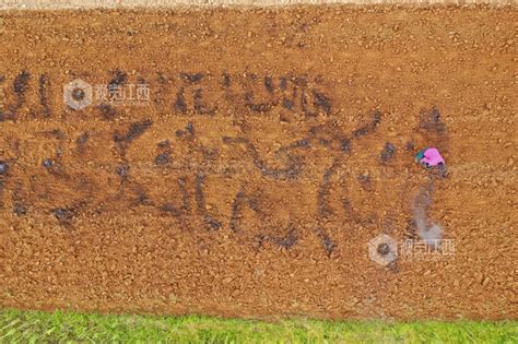 农家肥 的图像结果